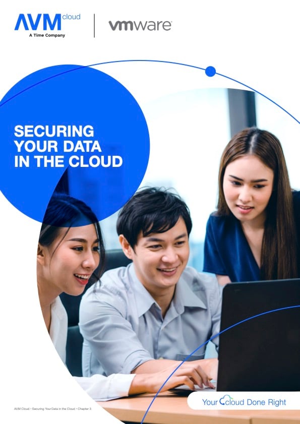 Securing Your Data In The Cloud